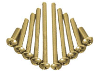 silicon-bonze-screw